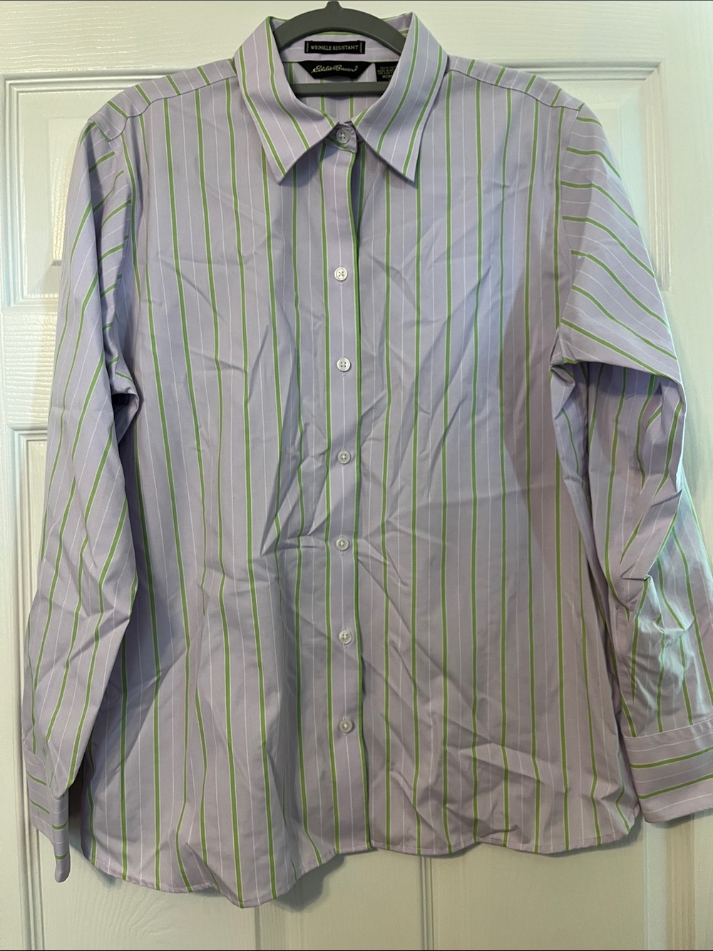 Eddie Bauer Lilac Button-Down Shirt with Green & White Stripes